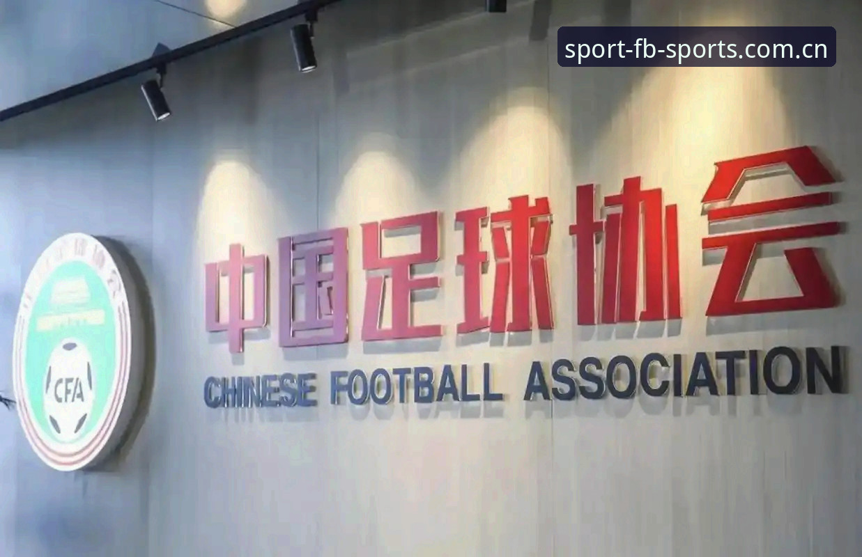 fb体育使用教程 5类足球腐败行为解析:中国足协第三批禁足名单背后的行业变革