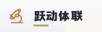 合作伙伴